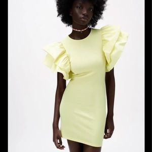 NWT Zara ruffle dress
